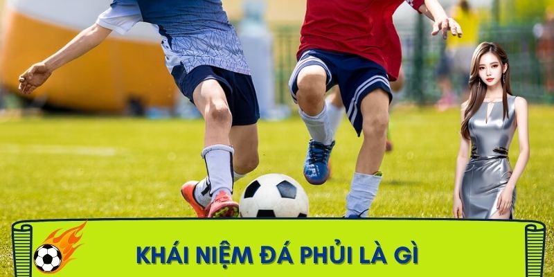 da-phui-la-gi-khai-niem